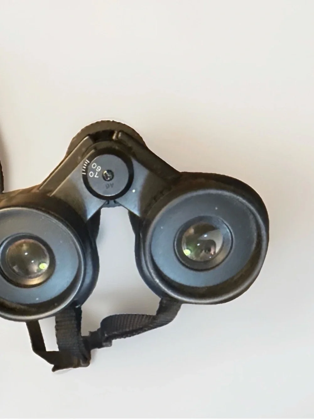 Nikon high magnification